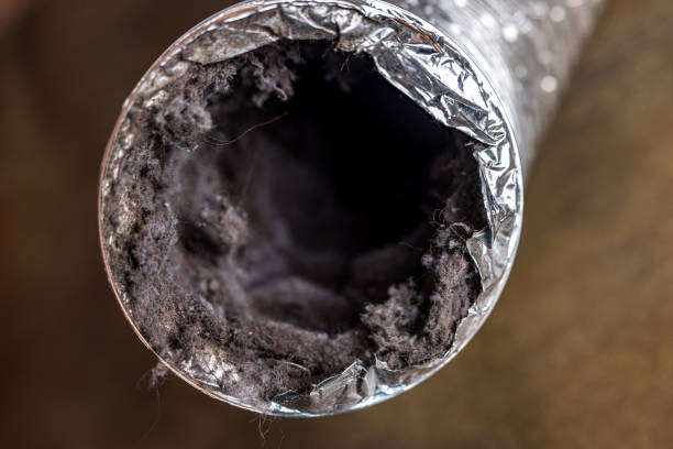 Best Air Duct Cleaning Near Me  in Gastonia, NC